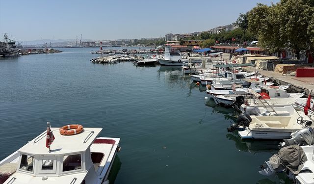 Tekirdağ'da istavrit tezgahları süsledi