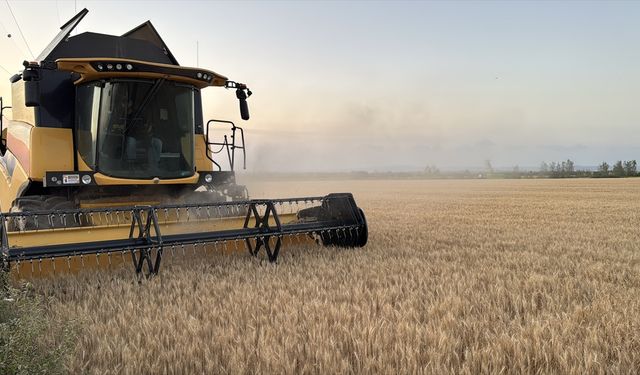 Trakya'da buğday hasadında sona yaklaşıldı