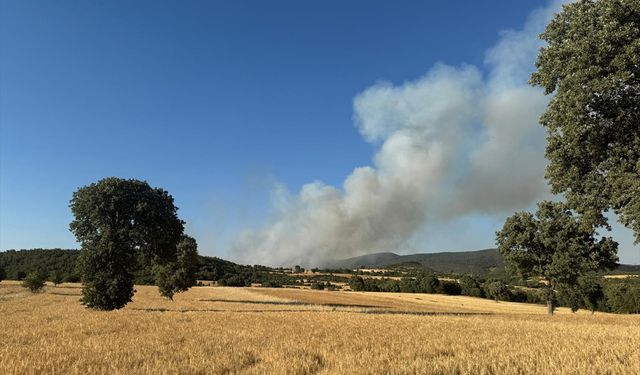 Uşak ile Manisa'daki yangınlara havadan ve karadan müdahale ediliyor