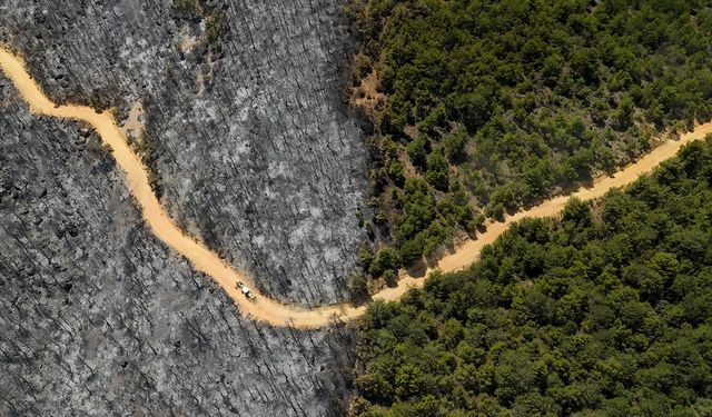 Uşak'ta orman yangınından etkilenen alanlar havadan görüntülendi