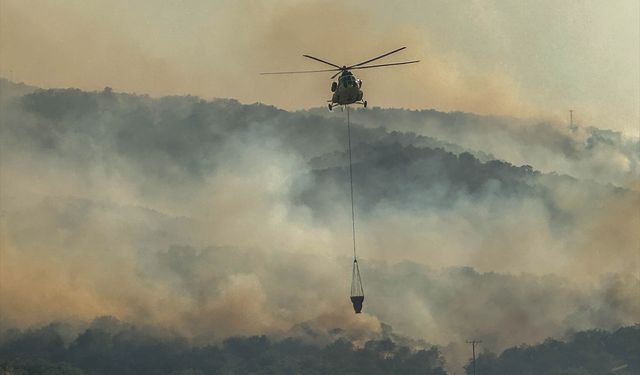 Uşak'ta tarım arazisinde başlayıp meşelik alana sıçrayan yangına müdahale ediliyor