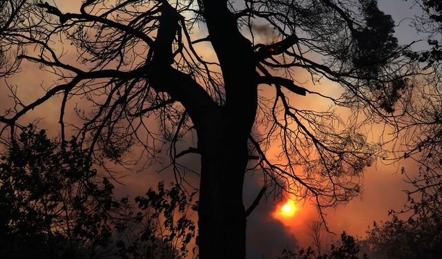 Yüksek sıcaklıklar Yunanistan'da yangınlara neden oldu