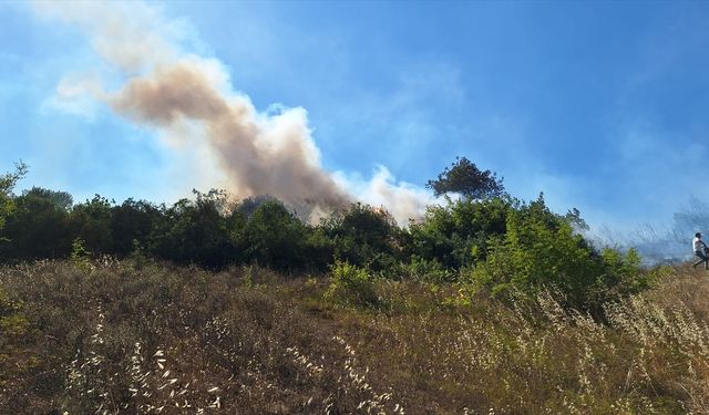 Zonguldak'ta fındıklıkta başlayıp ormanlık alana sıçrayan yangın kontrol altına alındı
