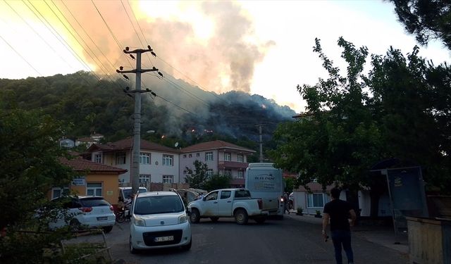 Zonguldak'ta ormanlık alanda çıkan yangın kontrol altına alındı
