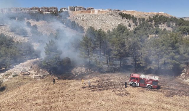 Adıyaman'da ormanlık alanda çıkan yangın söndürüldü