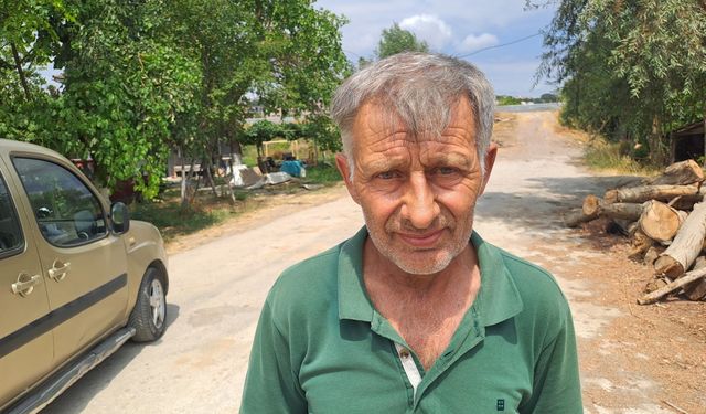 Arıtılmış atık su Sakaryalı çiftçilere "can suyu" oldu