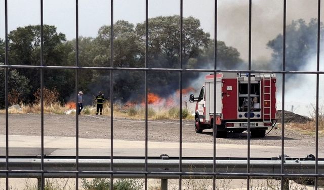 Bulgaristan'ın güneyinde 30 bin dönümlük alana yayılan yangınla mücadele sürüyor