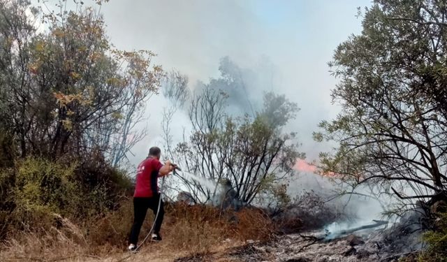 Bursa'da zeytinlikte çıkan yangın söndürüldü