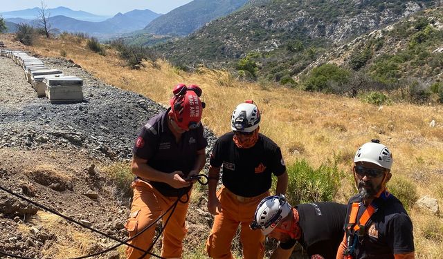 Datça'da kuyuya düşen köpek kurtarıldı