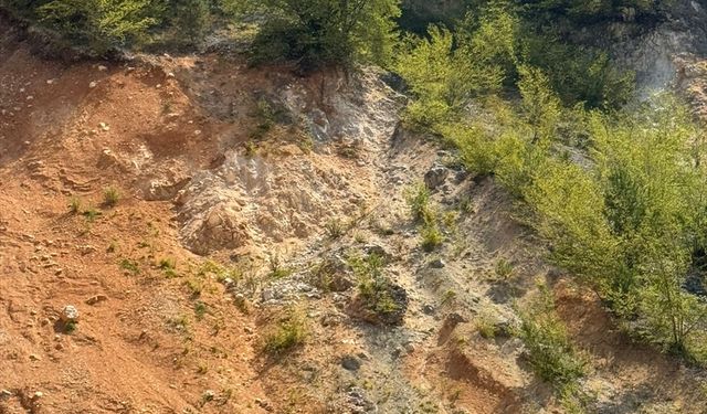 Düzce'de kayalıklarda mahsur kalan köpek kurtarıldı