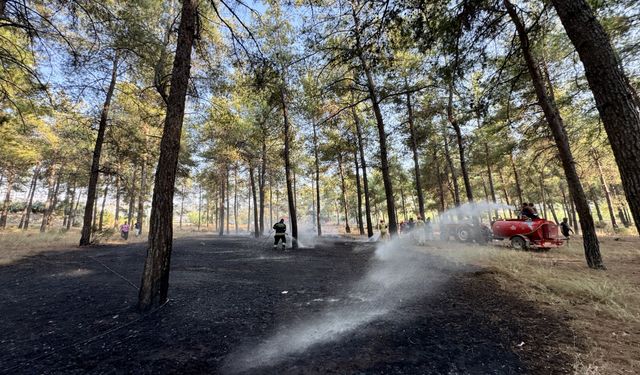 Fethiye'de ormanlık alanda çıkan yangın söndürüldü