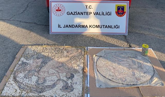 Gaziantep'te tarihi eser niteliğinde iki mozaik ele geçirildi