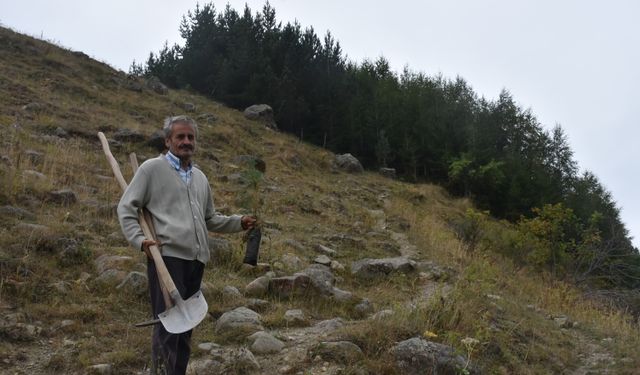 Gümüşhane'deki köyünü 40 yılda 50 bini aşkın fidanla buluşturdu