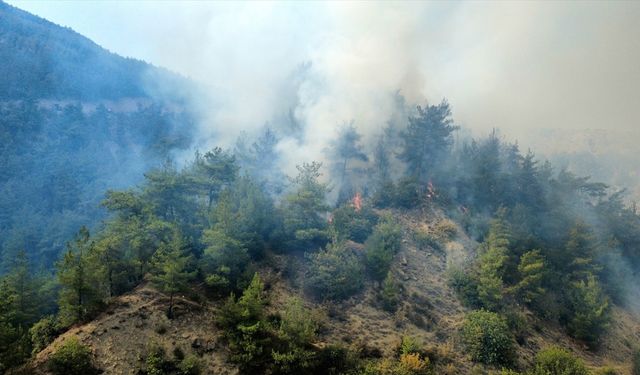 GÜNCELLEME 3 - Karabük'te çıkan orman yangını kontrol altına alındı