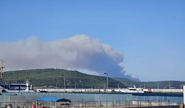 GÜNCELLEME 4 - Çanakkale Gelibolu'da ormanlık alanda çıkan yangına müdahale ediliyor