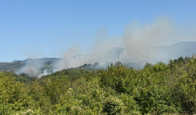GÜNCELLEME - Bartın'da ormanlık alanda çıkan yangın kontrol altına alındı