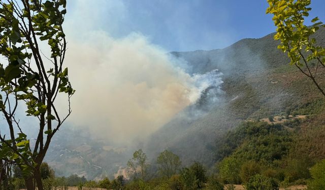 GÜNCELLEME - Bartın'da ormanlık alanda çıkan yangına müdahale ediliyor