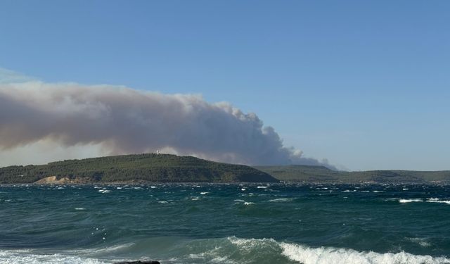 GÜNCELLEME - Çanakkale Gelibolu'da ormanlık alanda çıkan yangına müdahale ediliyor