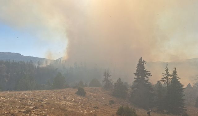 GÜNCELLEME - Karaman'da ormanlık alanda çıkan yangınlara müdahale sürüyor