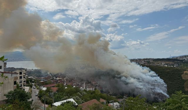 GÜNCELLEME - Kocaeli'de ağaçlık ve makilik alanda çıkan yangın kontrol altına alındı