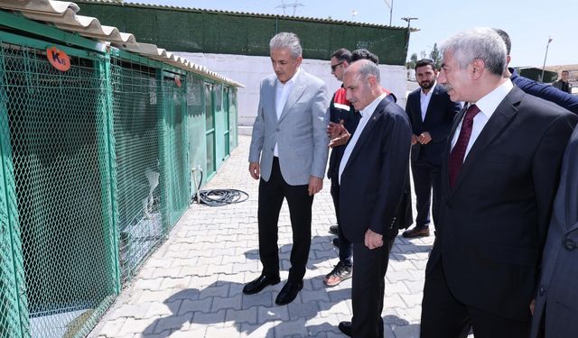 İçişleri Bakan Yardımcısı Aktaş, Mardin'de ziyarette bulundu