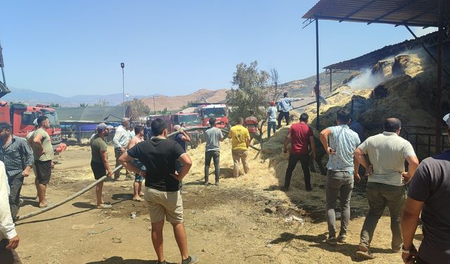 İzmir'de çiftlikte çıkan yangında 16 büyükbaş hayvan telef oldu