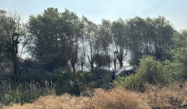 Karabük'te çıkan anız yangını söndürüldü