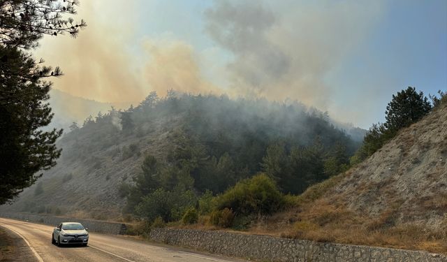 Karabük'te çıkan orman yangınına müdahale ediliyor
