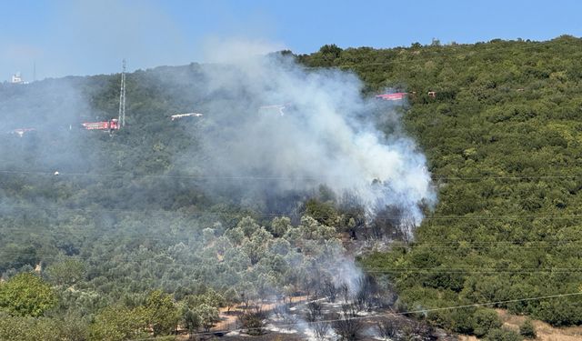 Kocaeli'de ağaçlık alanda çıkan yangın söndürüldü