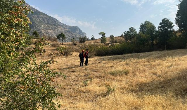 Siirt'te kaybolan zihinsel engelli kişiyi bulmak için arama çalışması başlatıldı