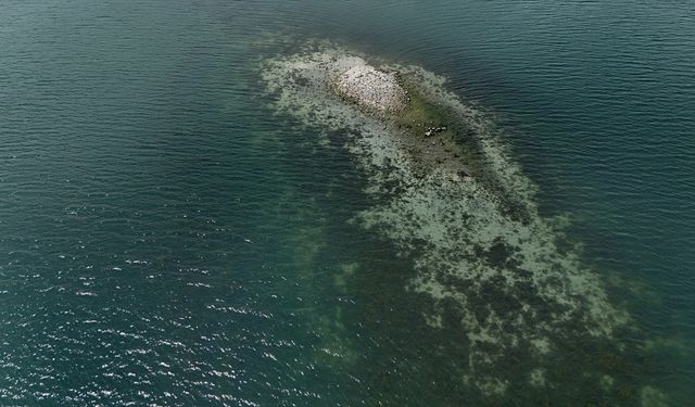 Su miktarı 'kritik' seviyenin altına düşen Sapanca Gölü'ndeki kalıntılar ortaya çıktı