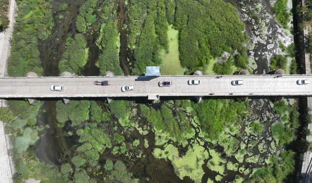 Tunca Nehri'nde kuraklık nedeniyle su akışının durduğu alanlar ot öbekleriyle kaplandı
