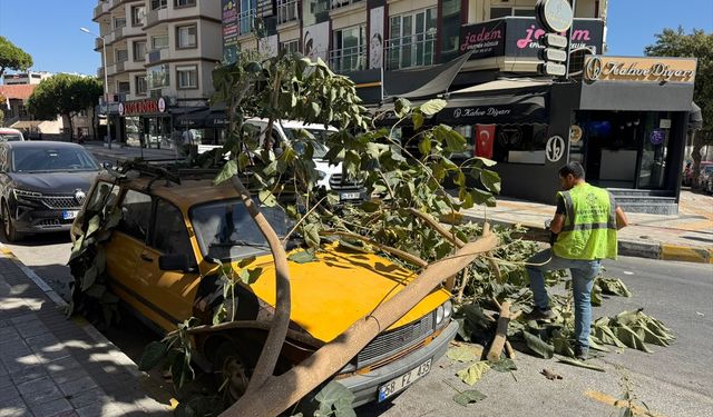 Aydın'da ağaç dalının otomobilin üzerine düşmesi güvenlik kamerasında