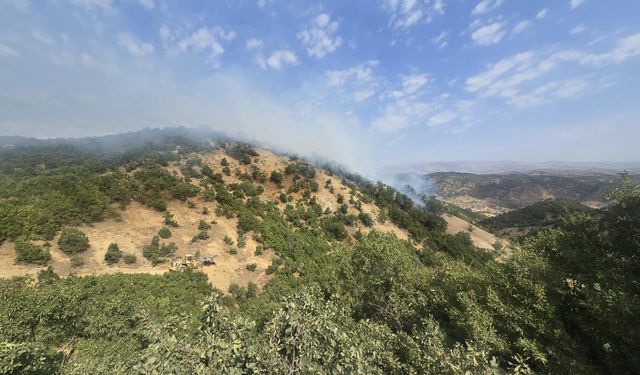 Bingöl'de çıkan orman yangınına müdahale ediliyor