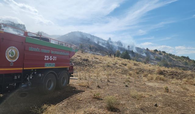 Bingöl'de çıkan örtü yangını söndürüldü