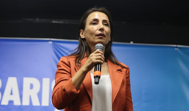 DEM Parti Eş Genel Başkanı Hatimoğulları: "Bir an önce ateşkes ilan edilmeli, insani yardım oralara ulaştırılmalı'"