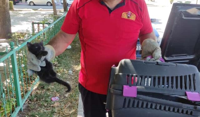 Erzincan'da aracın motor kısmına giren kedi yavrusunu itfaiye kurtardı