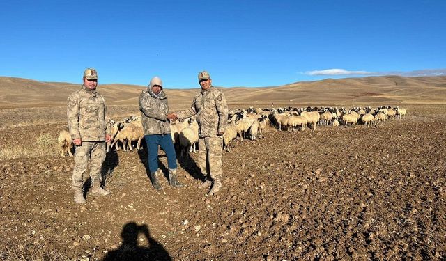 Erzincan'da kaybolan 300 koyun İHA desteği ile bulundu