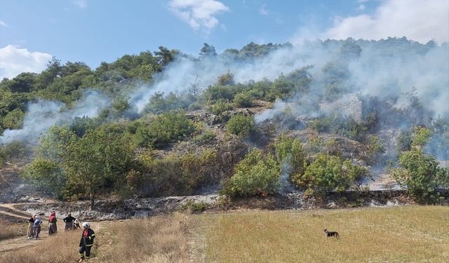 Tokat'ta ormanlık alanda çıkan yangın söndürüldü