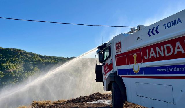 Tunceli'de çıkan orman yangını kontrol altına alındı