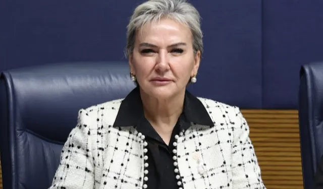 Milletvekili Özdemir 'kalıcı yaz saati'ni sordu