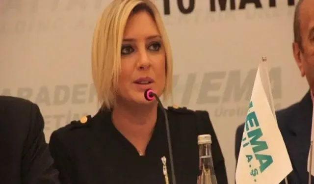 İpek Hattat Kimdir? Ailesi, İş Hayatı ve Gündeme Yansıyan Olaylar