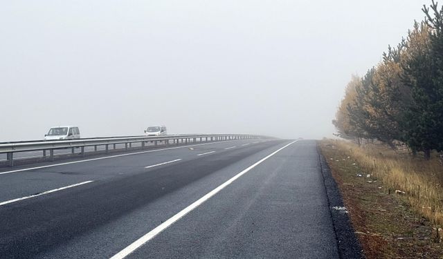 Ardahan'da sis etkili oldu