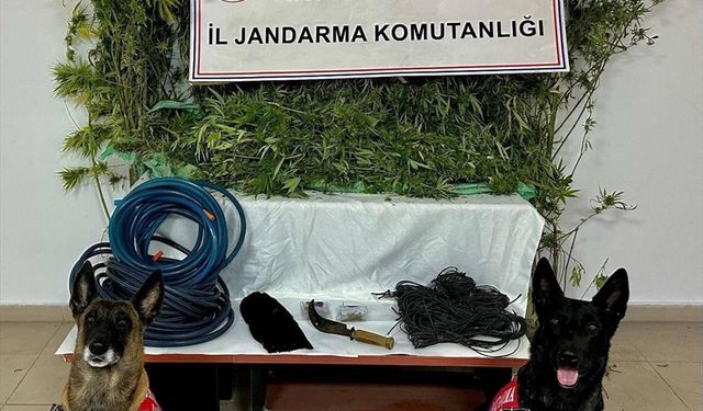 Artvin'de uyuşturucu ticareti yaptığı gerekçesiyle 1 zanlı tutuklandı