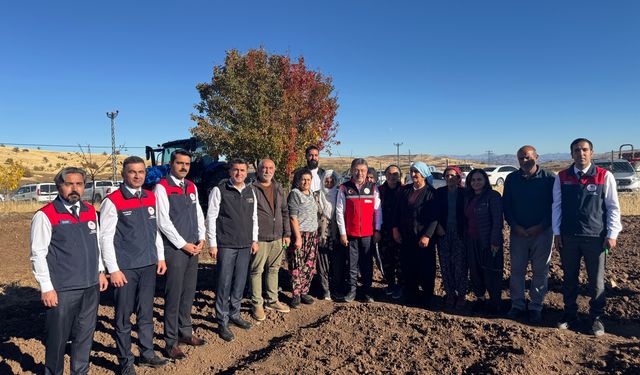 Bakan Yumaklı, Tunceli'de coğrafi işaretli dağ sarımsağının ekimini yaptı: