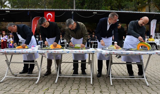 Bilecik'te Kızıldamlar Kestane Kabağı Festivali yapıldı