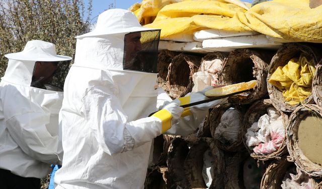 Bitlis Valisi Karakaya, karakovan balının hasadına katıldı: