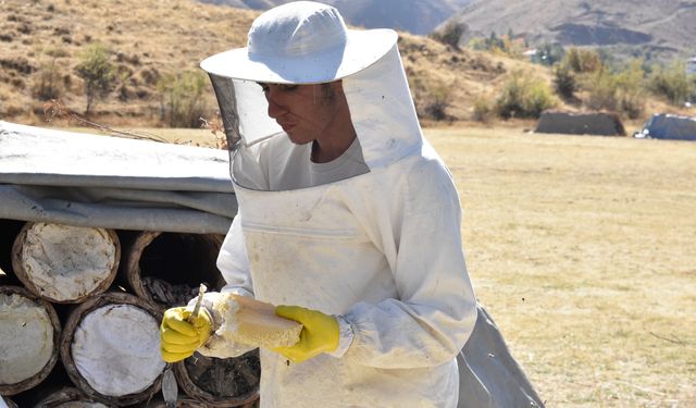 Bitlis'teki yaylalarda üretilen karakovan balının hasadına başlandı