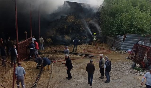 Bursa'da ahırda çıkan yangında 170 küçükbaş hayvan telef oldu