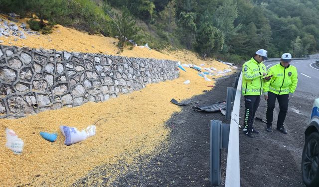 Bursa'da hayvan yemi yüklü tırın devrildiği kazada 2 kişi ağır yaralandı